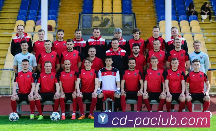 PA体育模拟器品牌故事