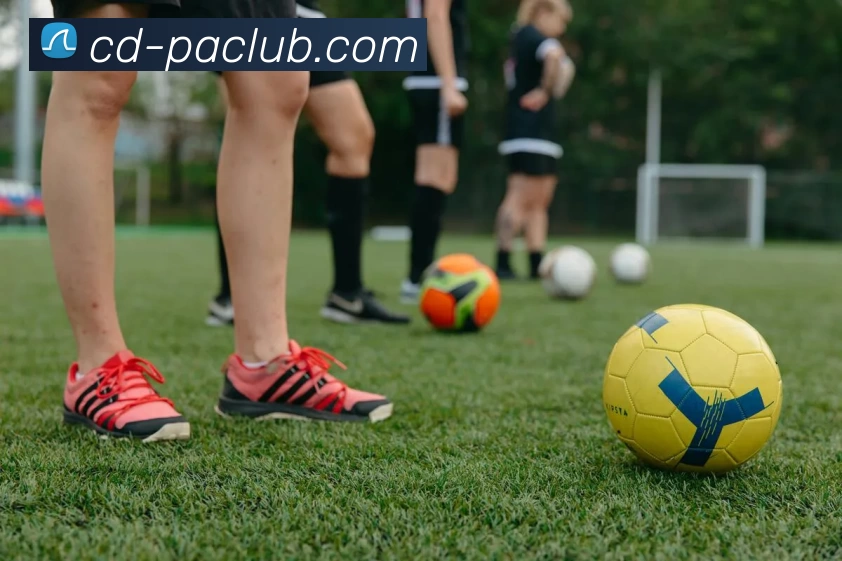 PA体育模拟器服务体系